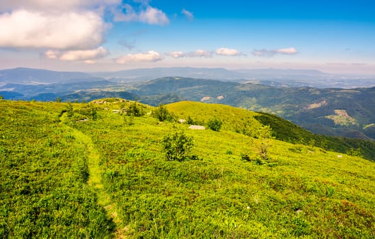 tourist footpath through mountain ridge. beautiful summer landscape under the gorgeous blue sky with some clouds