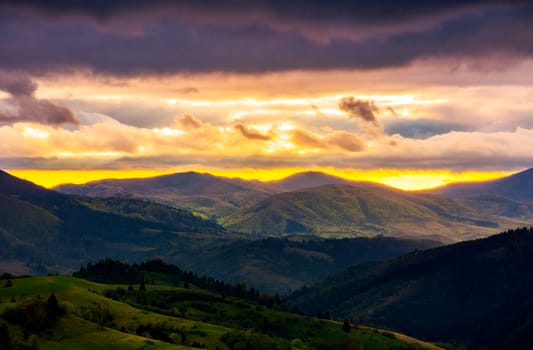 mountain rural area. agricultural fields on hills with forest. beautiful and vivid countryside landscape with cloudy sky at sunset.