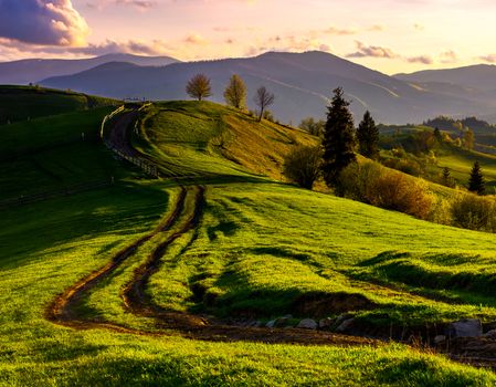 road through green hills at sunset. beautiful springtime rural landscape in mountains under the sky with pink clouds. wooden fence on top of a hill