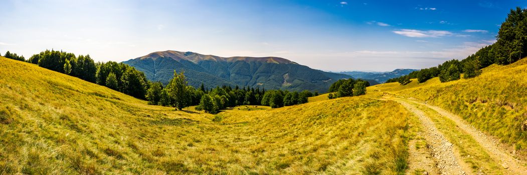 Panorama of Carpathian mountains in summer. Mountain Apetska in the distance. road through grassy meadow and forested hillsides. wonderful travel destination. location TransCarpathia, Ukraine