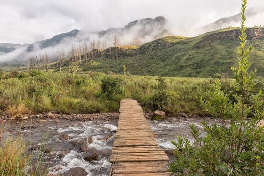 A pedestrian bridge over a stream at the start of the Van Heiningen Pass hiking trail at Injisuthi in the Kwazulu-Natal Drakensberg