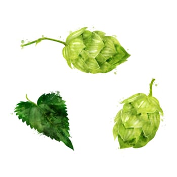 Hop, isolated illustration on a white background