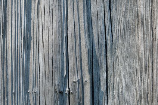 Wood texture with natural pattern. A fragment of a wooden panel