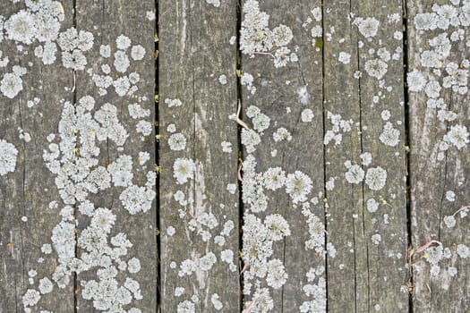 Grunge wood pattern texture background, wooden planks