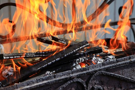 Firewood burn in the oven