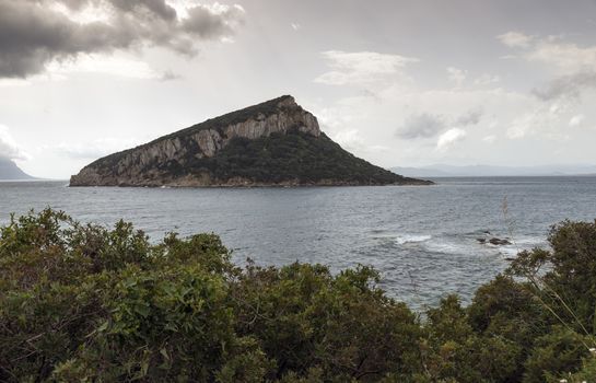 island for the city golfo aranci, on this island are fish farms where the dolphins are seen may time