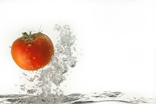 Tomato in the water on isolated studio background