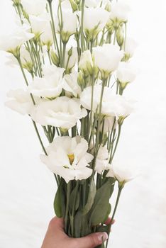 A young girl hand holding a large bouquet of fresh white flowers. Bright feminine lifestyle