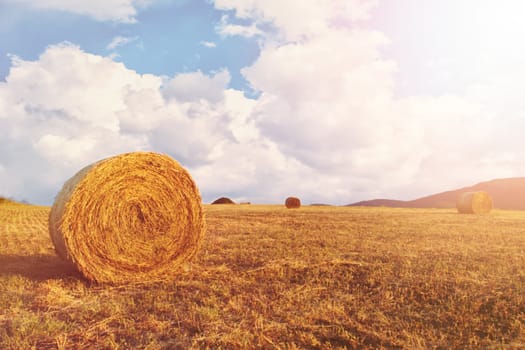 Hay bales on the field after harvest, a clear day. Blue sky, white clouds. Sun, sun haze, glare.