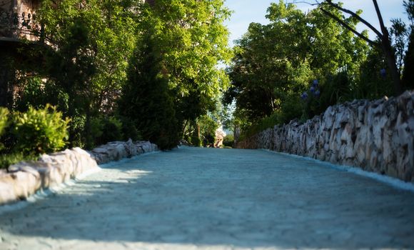 Stone walkway. Alley in beautiful garden with flowers and trees around. Summer in the garden