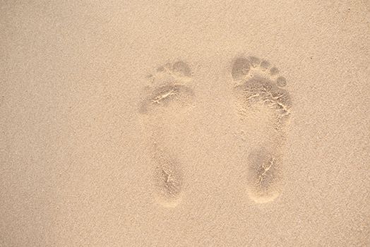 Woman Footprints in the sand. A row of footprints in the sand on a beach in the summertime, near the sea. Summer Vacation