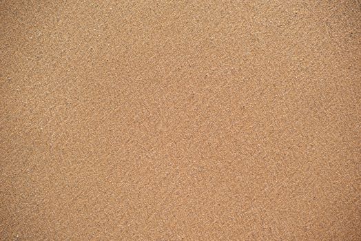 Beach sand background