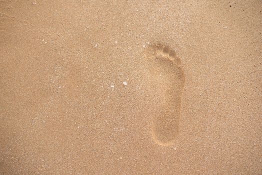 Single Woman Footprint in the sand. A row of footprint in the sand on a beach in the summertime, near the sea. Summer Vacation