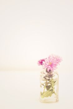 Bright picture of a purple chrysanthemum branch in a glass vase on a white background. Shades of white, teal, soft dreamy image. Selective focus. Vintage tinting