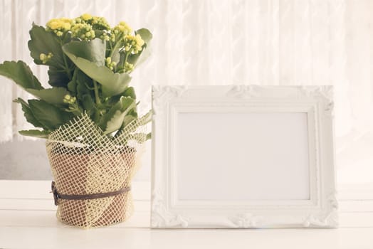 White Frame Mock Up, Digital MockUp, Display Mockup, Sea Styled Stock Photography Mockup, Colorful Desktop Mock Up. Yellow kalanchoe. White background, empty place, copy space. Vintage tinted