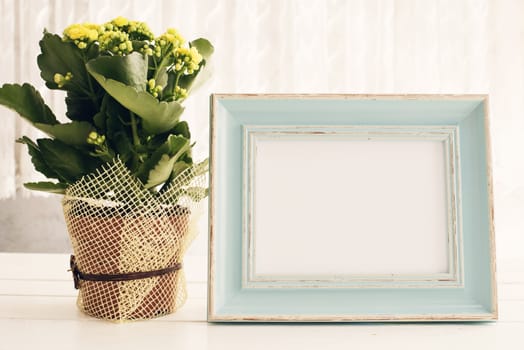 Blue Frame Mock Up, Digital MockUp, Display Mockup, Sea Styled Stock Photography Mockup, Colorful Desktop Mock Up. Yellow kalanchoe. White background, empty place, copy space. Vintage tinted