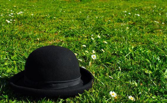 bowler hat on lawn