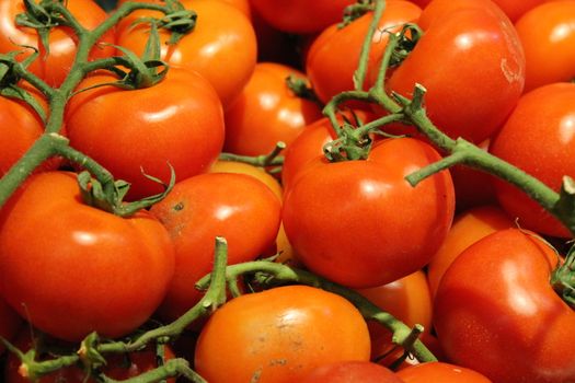Basket of fresh red vegan vegetable tomatoes