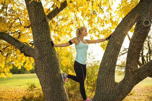 Attractive female athlete climbing on the tree in the public park and exercising. Healthy lifestyle concept.