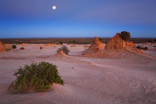 Cool dawn hues across the desert landscape and in a cloudless sky the moon sets