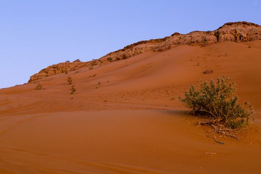 The Red sand of the Pink Rock Desert, Sharjah, Dubai, UAE