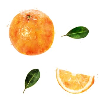 Orange, isolated hand-painted illustration on a white background