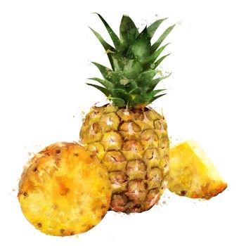 Pineapple, isolated hand-painted illustration on a white background