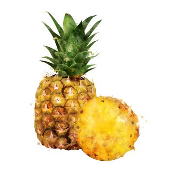 Pineapple, isolated hand-painted illustration on a white background