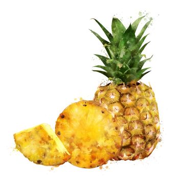 Pineapple, isolated hand-painted illustration on a white background