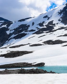 Snow, ice, glacier water and mountain top in summer in Norway