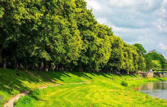 part of a longest linden alley in Europe. Uzh river embankment of Ukrainian town Uzhgorod in summer