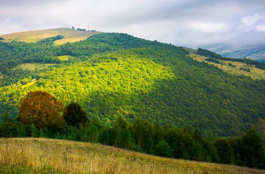 mountain summer landscape. trees near meadow and forest on hillside under  sky with clouds