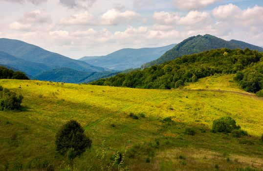 lovely mountainous countryside in autumn. forest on a grassy hillside under the beautiful cloudy sky. wonderful place for hike or a picnic in Carpathian mountains, Volovets district, Ukraine