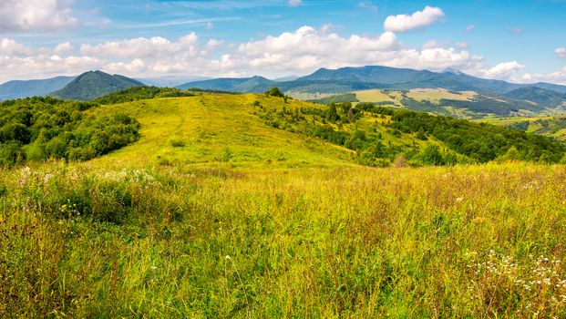 autumnal countryside of Carpathian mountains. grassy meadow and magnificent Pikui peak of Carpathian dividing ridge in the distance. lovely nature scenery with some cloudy formations