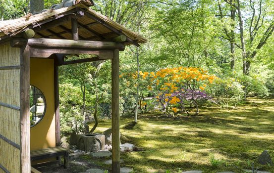 beautifull garden of park Clingendael in Holland, this is an public open park with beautifull flowers and plants as azalea and rhodondendron and japanese garden