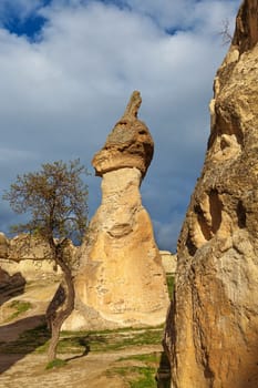Stone cliffs looks like Fairy houses in Pasabag near Goreme, Cappadocia, Turkey