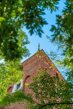 view of a brick Catholic church through the leaves of a tree