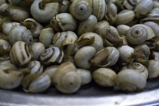 dish of boiled snails with garlic typical Portuguese dish