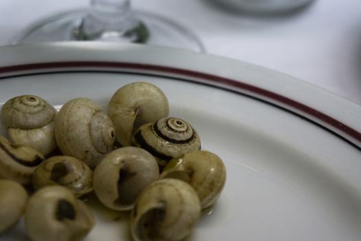 dish of boiled snails with garlic typical Portuguese dish