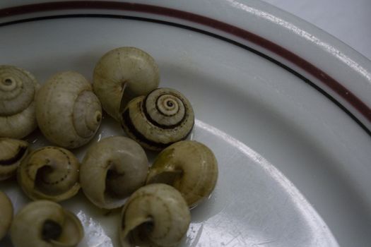 dish of boiled snails with garlic typical Portuguese dish