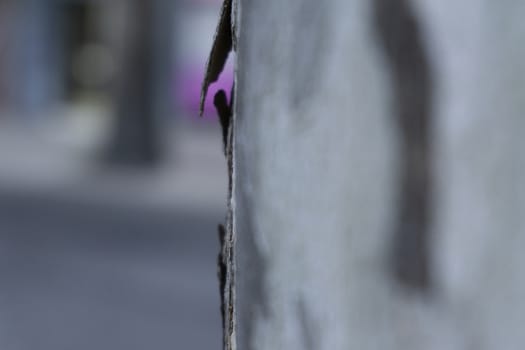 detail on bark tree with blurred effect purple background detail