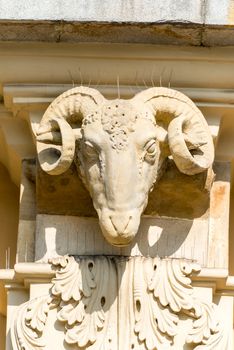 Architectural detail of a ram's head on the facade of a building, a close-up photograph