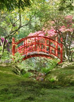 japanese garden with red bridge in the hague Holland in the open for public park called landgoed clingendael