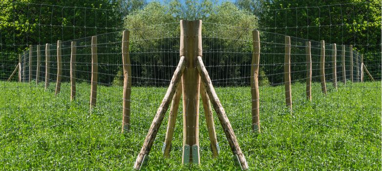 Fence of a pasture for horses or cows