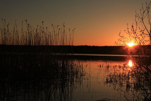 Summer outdoor background. Nice lake in forest under sunset