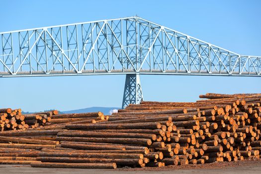 Lumber Mill in Rainier Oregon by Columbia River Longview Bridge