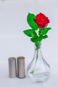 beautiful red rose in a vase on a table in a cafe closeup