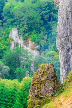 rocks and trees in Ojcov Park in Poland, close-up stones