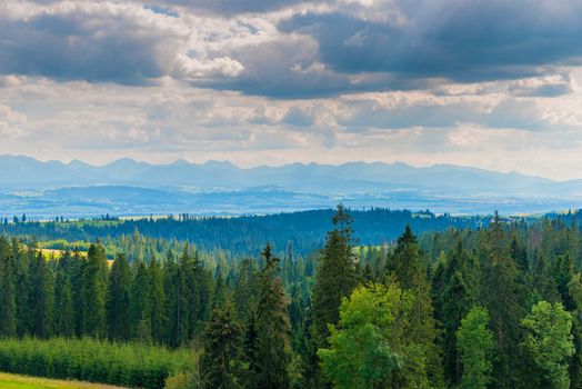 coniferous forest, view of the mountains Tatra Mountains on the horizon, beautiful clouds - Poland, beautiful scenery