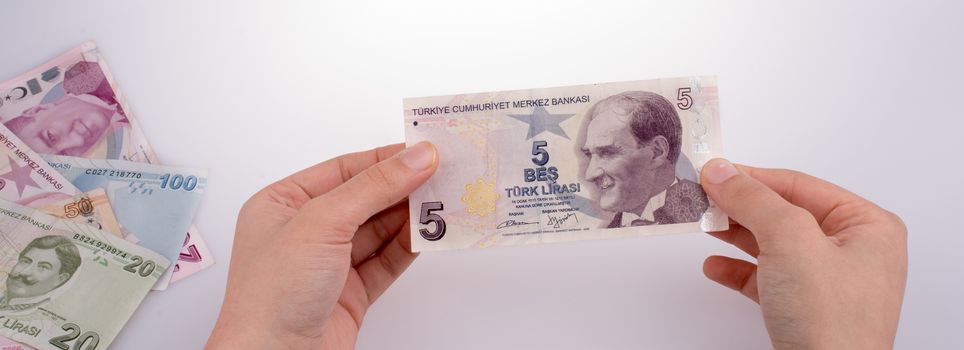 Hand holding Turksh Lira banknote  on white background
